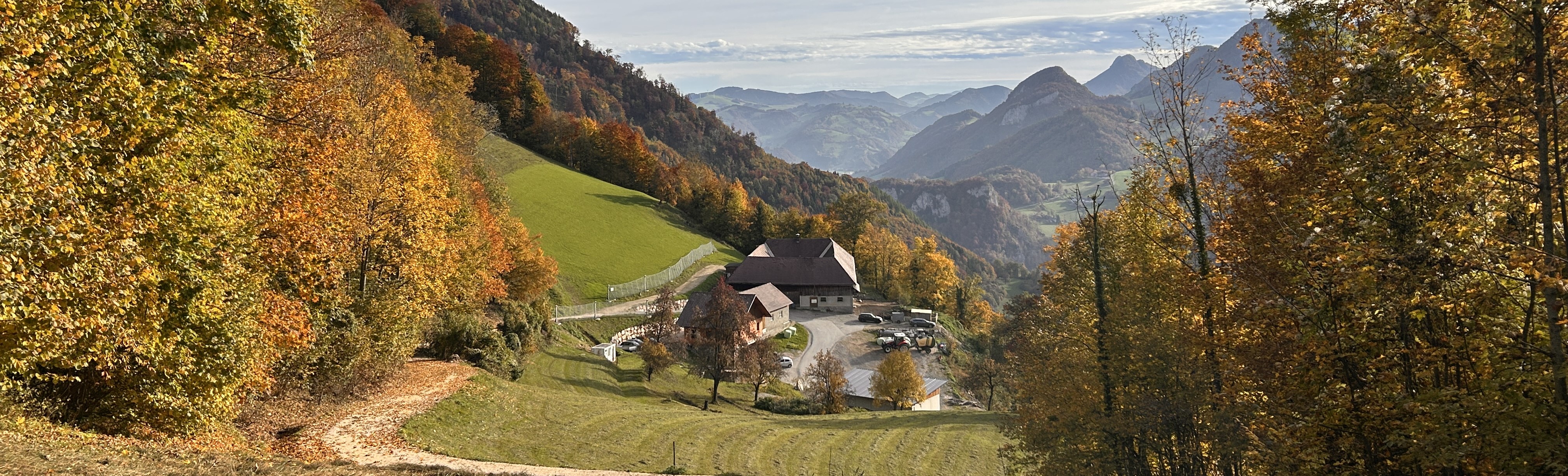 Hof-Ansicht / Teich (Platzhalter)